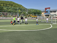 26년 4월 벚꽃축제 & 동..