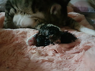 오월이, 엄마가 되다♡ 1..