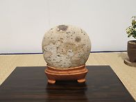 의림수석회 회원전