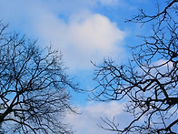 살면서 영원히 들..