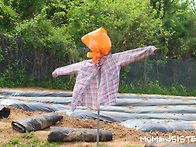 품이 많이 들어간..