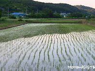 시골 풍경