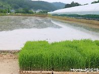 재빠르게 다녀온 ..