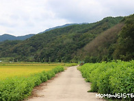 평화로운 산책 시..