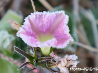 겨울 햇살 그리고..