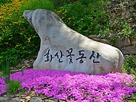 제171차 완주 화산꽃동산/..