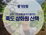 제175차 보령 상화원,무창..