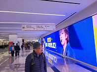 11월 둘째 토요일 특별활동