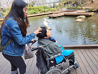 2026년 봄, 나의 살던고향..