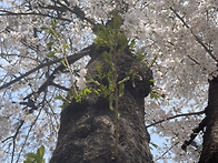 내일 모레면&hellip;🌺