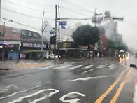 습도가 아주 끝내주네요~..