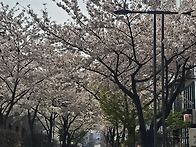 오늘도 잠시 출근 ㅡㅡ