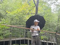수채화님 남산 하늘숲
