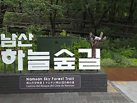 7.21 비오는날의 수채화