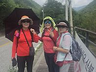 정선여행