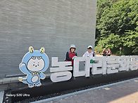 진천 농다리