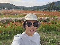 하동 양귀비 촉제..
