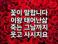 9월의 노래