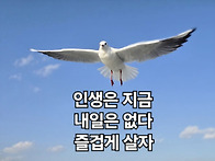 ○췌장암○