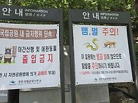 2025.7.3 토함산,석굴암,..