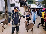 일본미센산,산단쿄등산