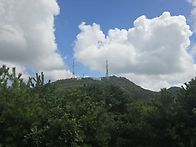 2026.8.31 금련산,황령산..