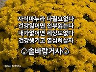 슬픈계절