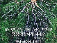 보약선물