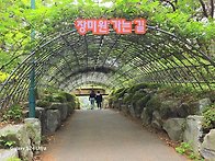 2025.5.22 울산대공원 장..