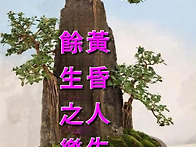 上善若水