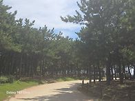 2026.8.26 몰운대,해변공..