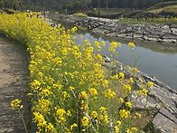 2026.4.2 몰운대,해변공원..