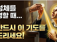 미카우 소포츠코 복자 &#..