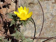 4월9일 목요일 출석부