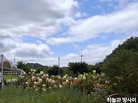 9월9일 수요일 출석부