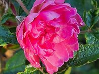 9월29일 수요일 출석부