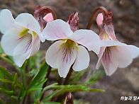 3월31일 화요일 출석부