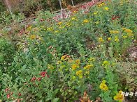 10월30일 목요일 출석부