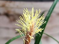 4월2일 목요일 출석부