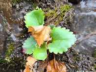 4월10일 금요일 출석부