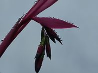 4월11일 토요일 출석부