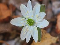 3월30일 월요일 출석부