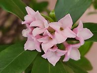 4월1일 수요일 출석부