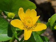 4월13일 월요일 출석부