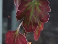 9월28일 화요일 출석부