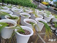 9월2일수요일 출석부