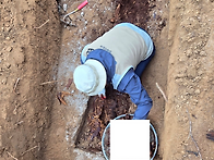 포천 단장2기 묘지개장 처..