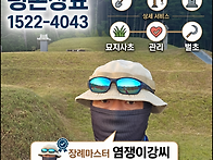 묘지사초ㅣ벌초ㅣ묘지관리..