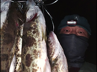 추석 연휴 쏘가리 이사시키..