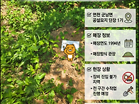 연천 묘지개장신고 원스톱..